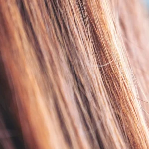 Hair Care